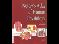 Netters Atlas Of Human Physiology.pdf